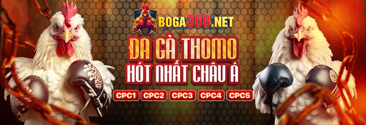 Đá Gà Trực Tuyến hm88